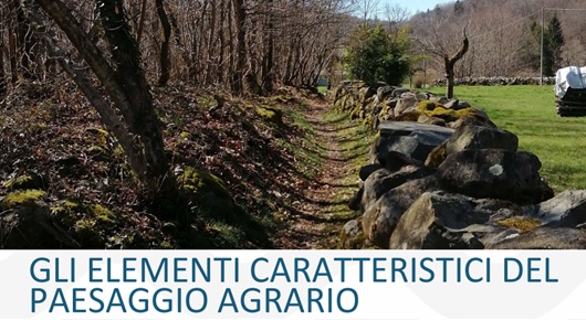 SAVE THE DATE - Seminario sugli elementi caratteristici del paesaggio agrario piemontese