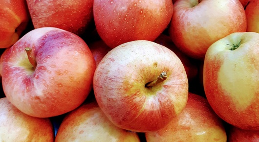 Il settore frutticolo in Piemonte